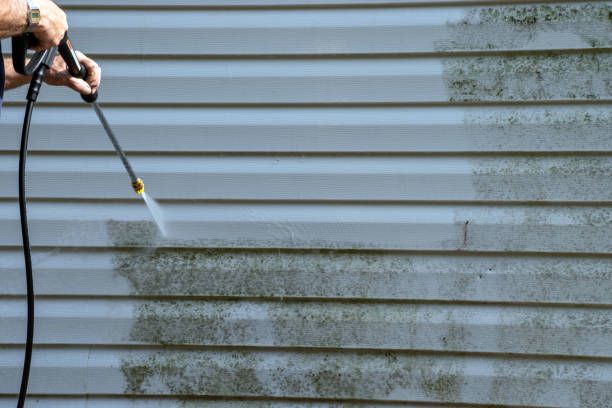 Best Foreclosure Cleanout  in Birngham, MI