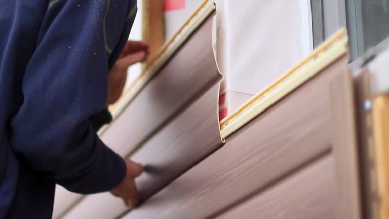 Best Hoarding Cleanup  in Birngham, MI